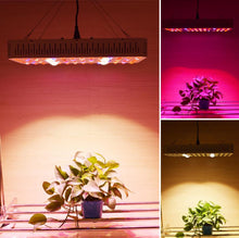 Full Spectrum 2000w LED Grow Light