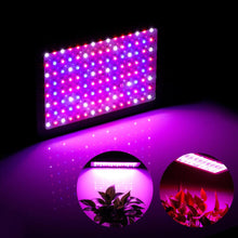 Full Spectrum 600W LED Grow Light