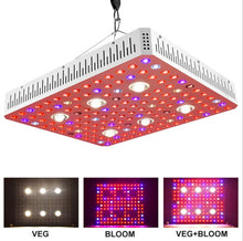 Full Spectrum 3000w LED Grow Light