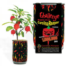 Magic Plant Farms Growing Kit Carolina Reaper Pepper with Extra Seed Pack