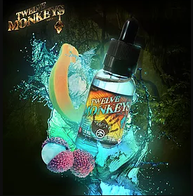 Twelve Monkeys - Tropika - TheNorthBoro