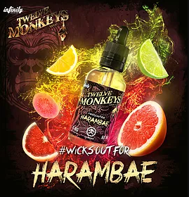 Twelve Monkeys -Harambae - TheNorthBoro