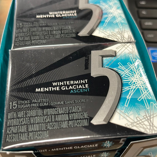 5 Gum - Winter Mint Ascent